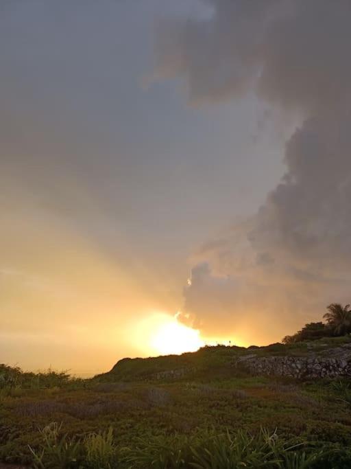 Casa Salina Leilighet Isla Mujeres Eksteriør bilde